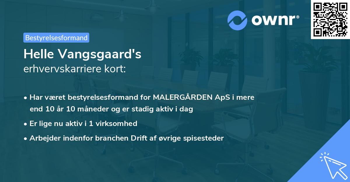Helle Vangsgaard's erhvervskarriere kort