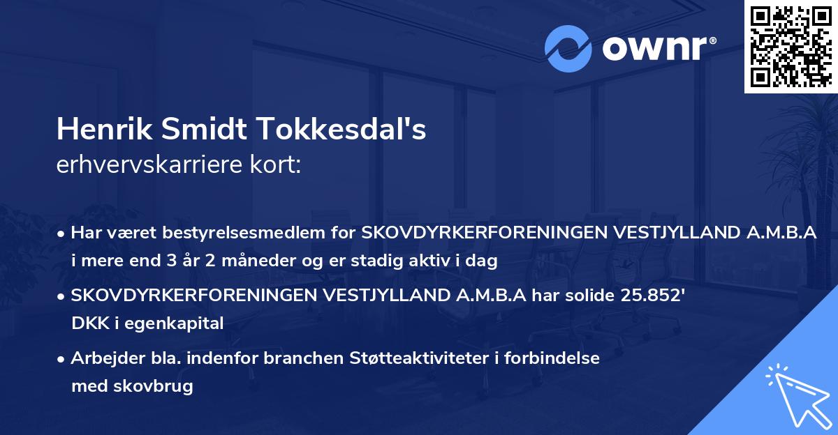 Henrik Smidt Tokkesdal's erhvervskarriere kort