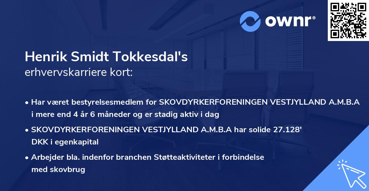 Henrik Smidt Tokkesdal's erhvervskarriere kort