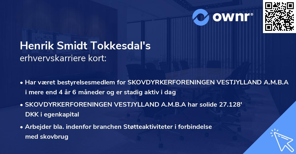 Henrik Smidt Tokkesdal's erhvervskarriere kort