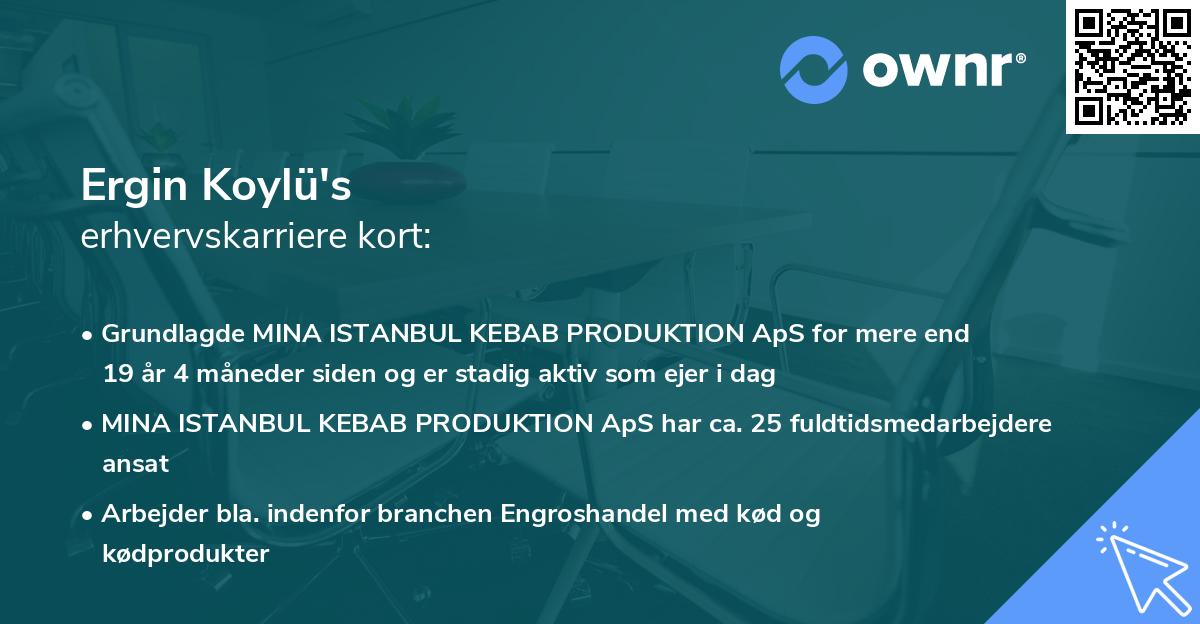 Ergin Koylü's erhvervskarriere kort