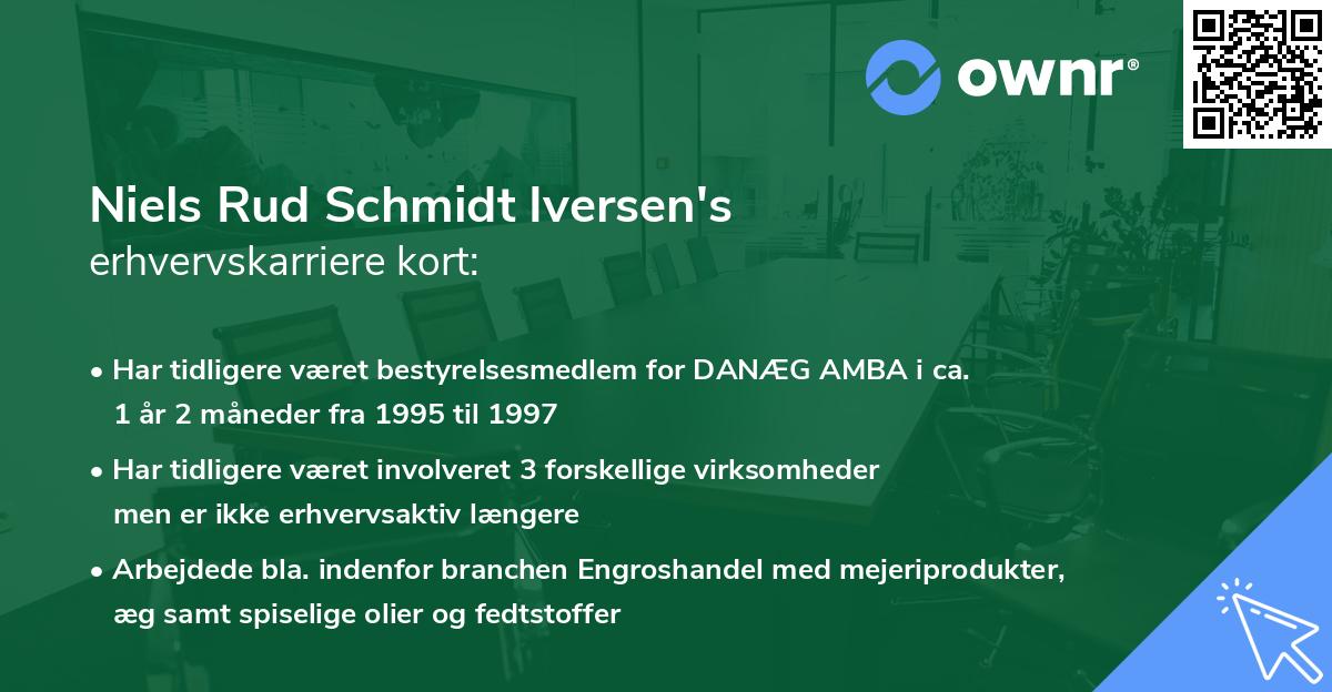 Niels Rud Schmidt Iversen's erhvervskarriere kort