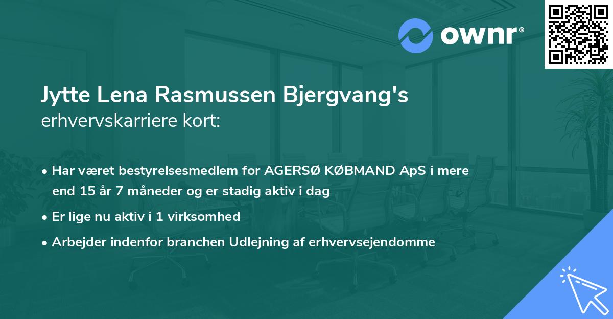 Jytte Lena Rasmussen Bjergvang's erhvervskarriere kort