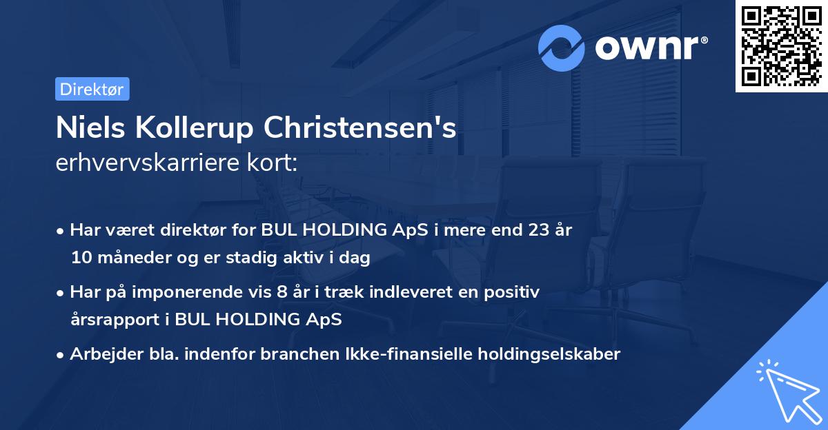 Niels Kollerup Christensen's erhvervskarriere kort