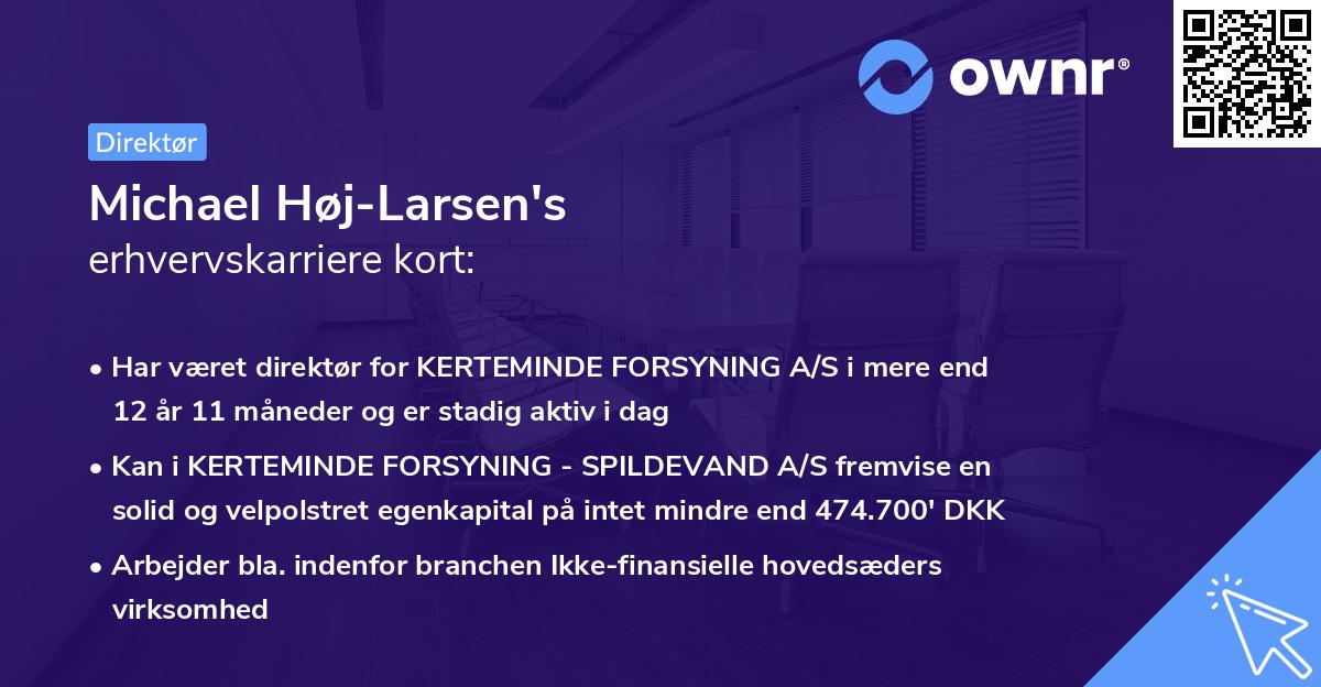 Michael Høj-Larsen's erhvervskarriere kort