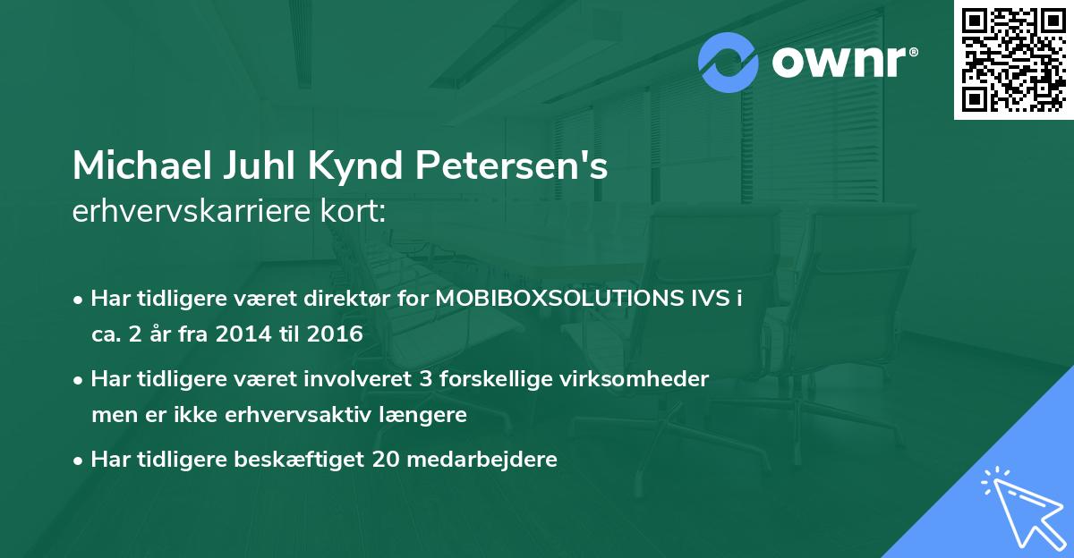 Michael Juhl Kynd Petersen's erhvervskarriere kort