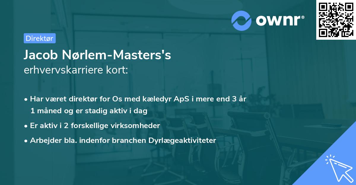 Jacob Nørlem-Masters's erhvervskarriere kort