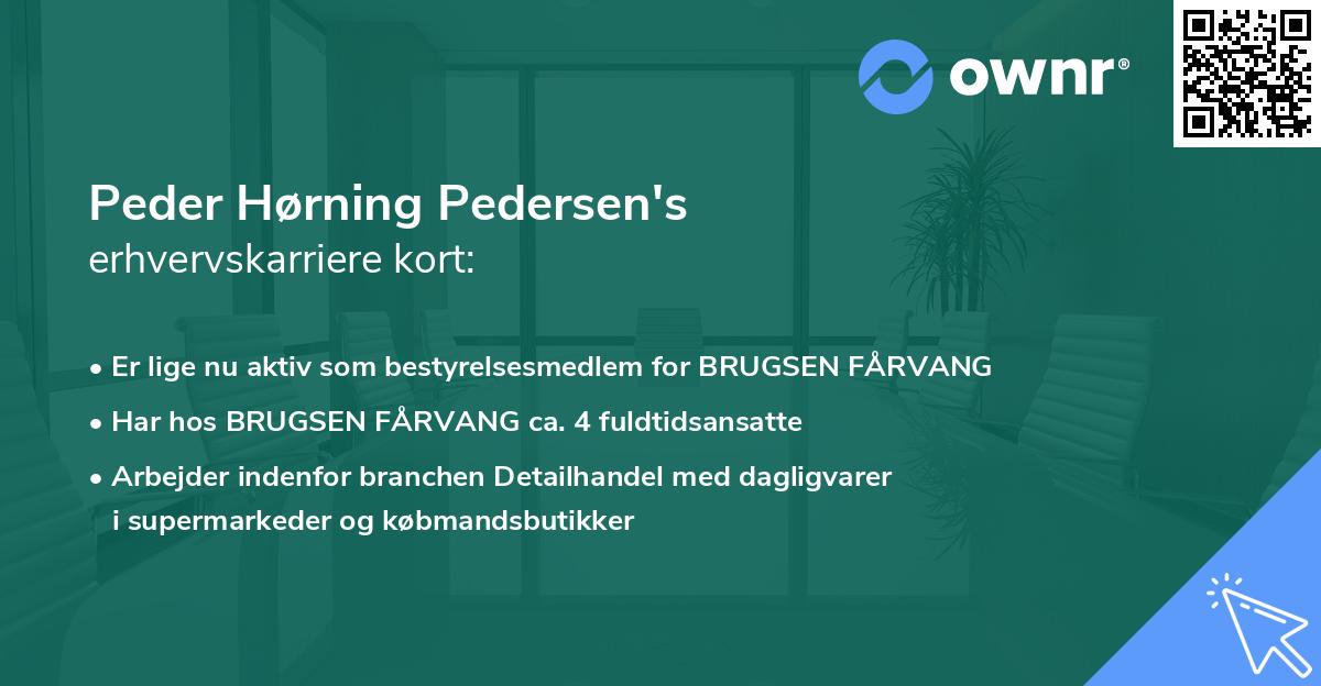 Peder Hørning Pedersen's erhvervskarriere kort