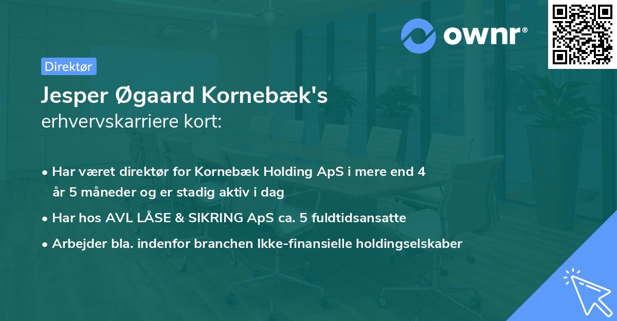 Jesper Øgaard Kornebæk's erhvervskarriere kort