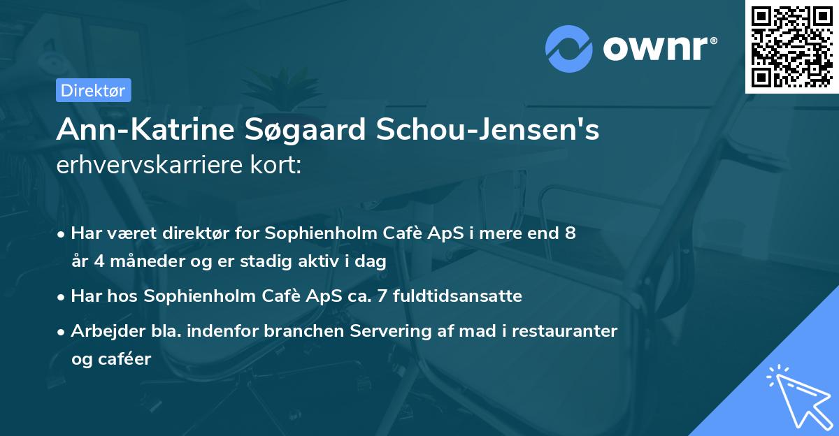 Ann-Katrine Søgaard Schou-Jensen's erhvervskarriere kort