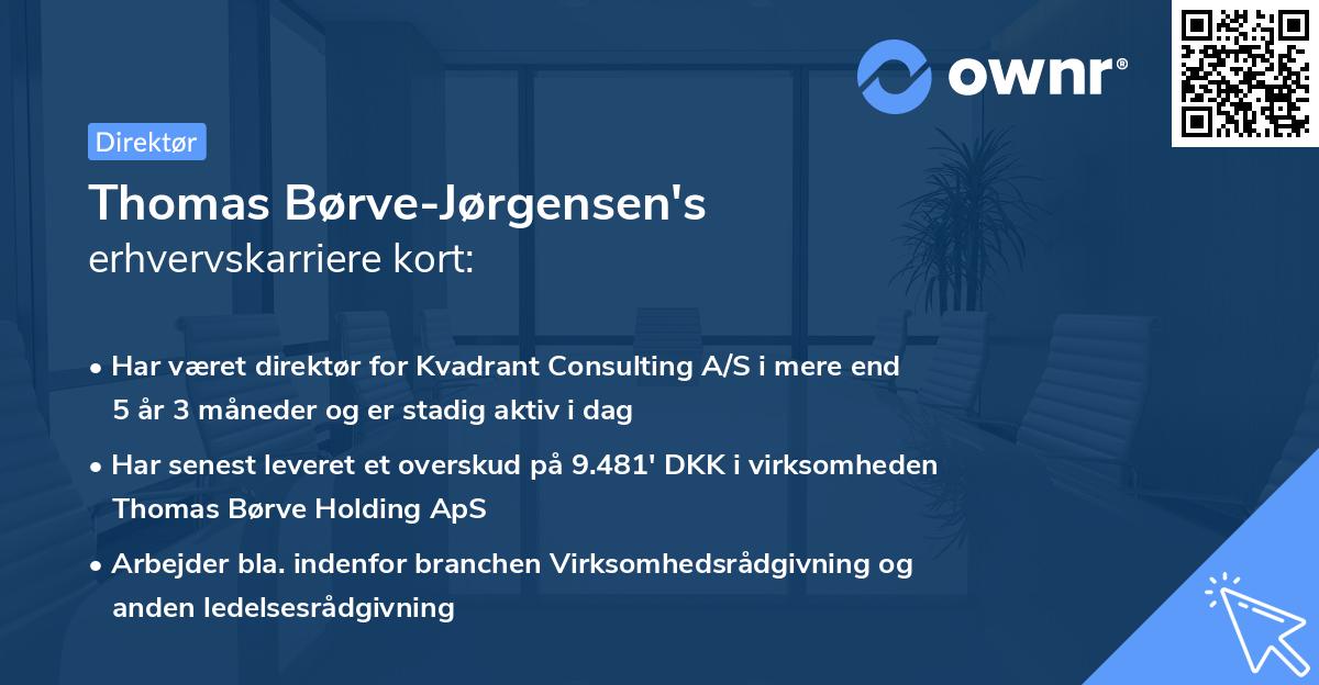 Thomas Børve-Jørgensen's erhvervskarriere kort