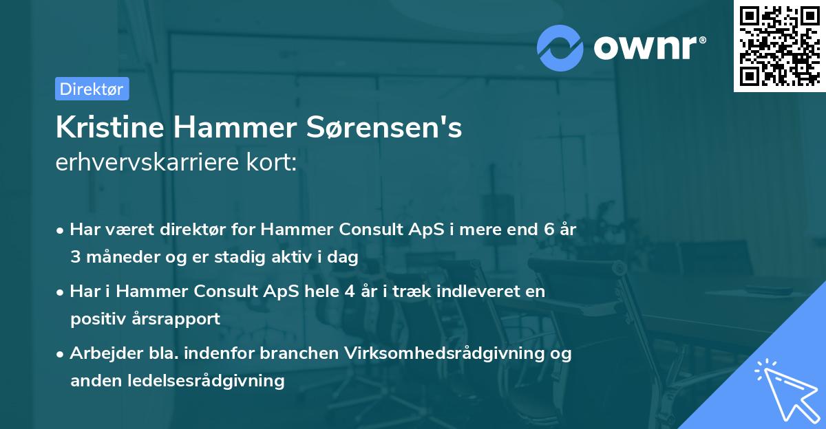 Kristine Hammer Sørensen's erhvervskarriere kort