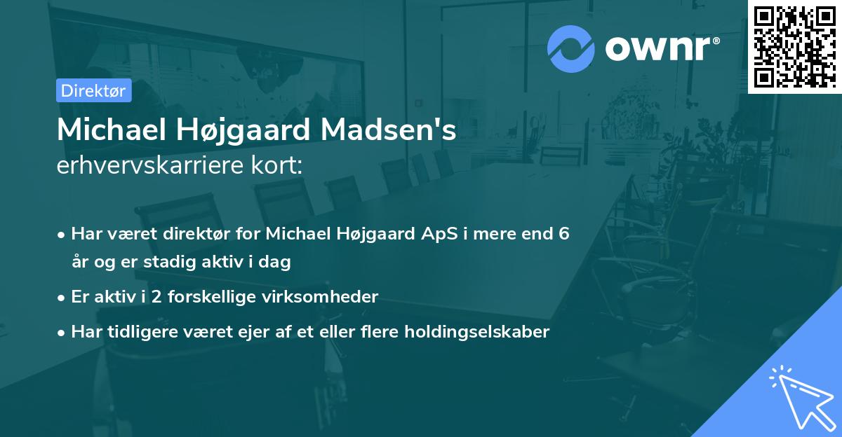 Michael Højgaard Madsen's erhvervskarriere kort