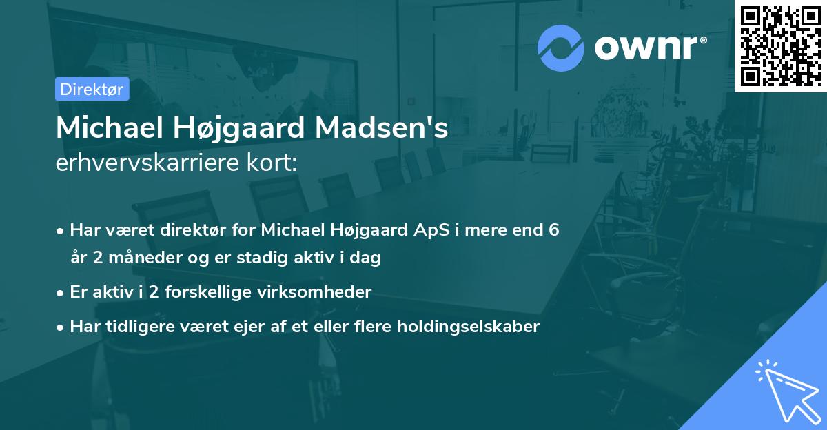 Michael Højgaard Madsen's erhvervskarriere kort