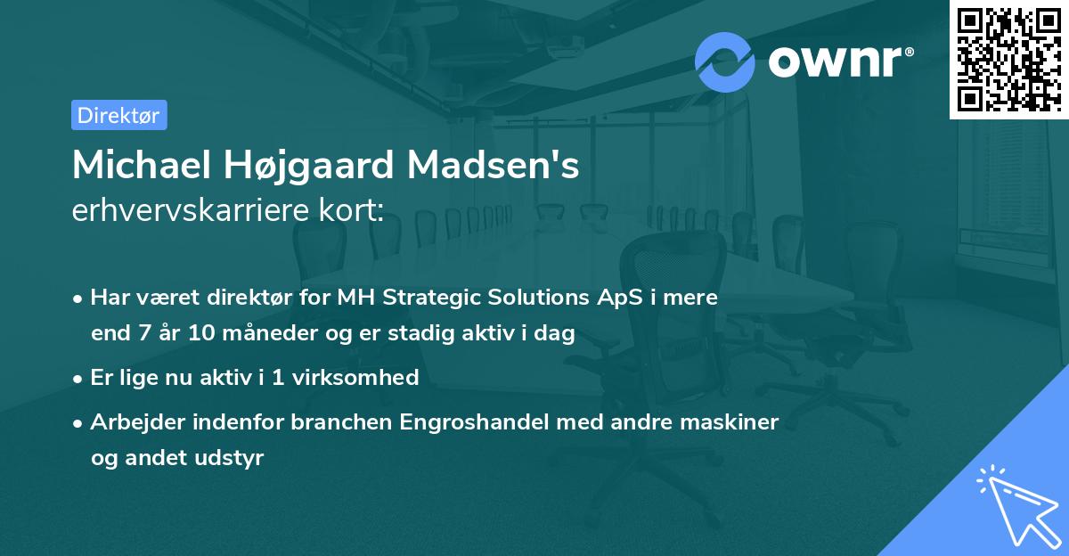 Michael Højgaard Madsen's erhvervskarriere kort