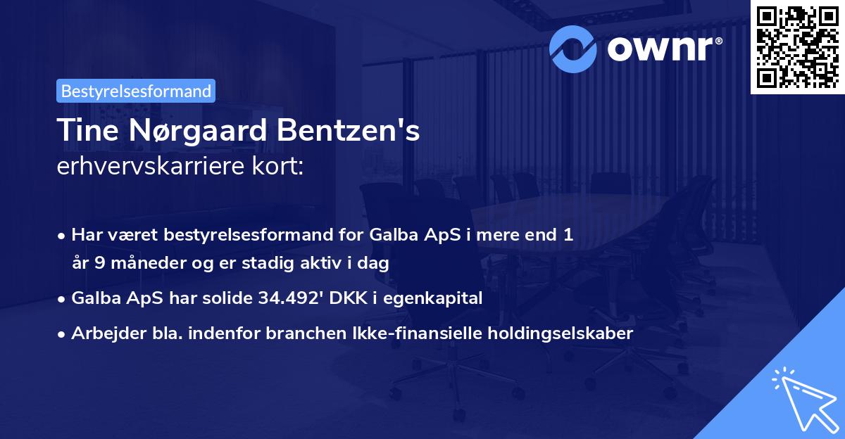 Tine Nørgaard Bentzen's erhvervskarriere kort