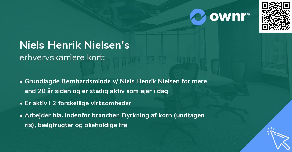 Niels Henrik Nielsen's erhvervskarriere kort