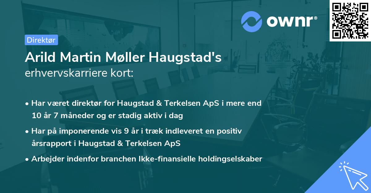 Arild Martin Møller Haugstad's erhvervskarriere kort