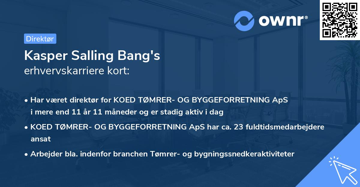 Kasper Salling Bang's erhvervskarriere kort