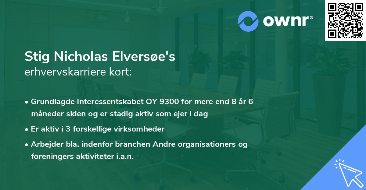 Stig Nicholas Elversøe's erhvervskarriere kort