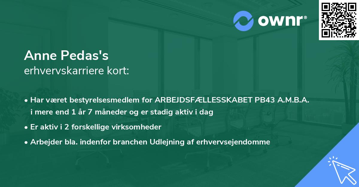 Anne Pedas's erhvervskarriere kort