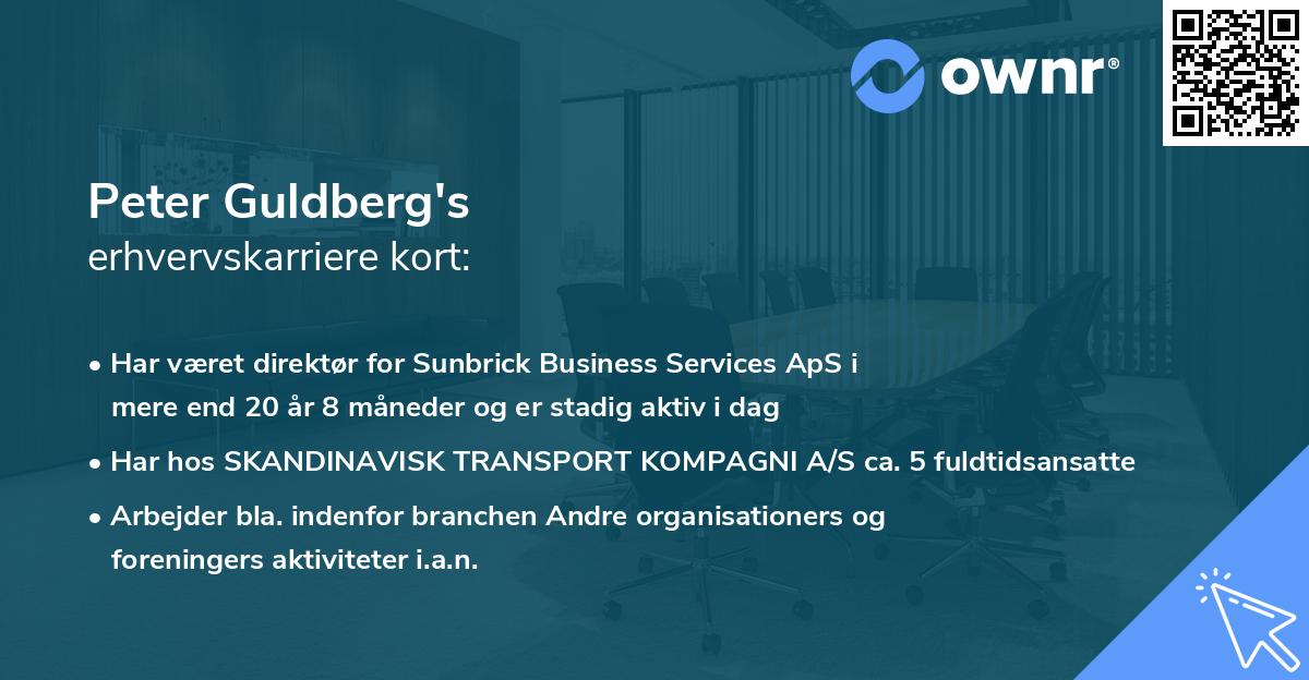Peter Guldberg's erhvervskarriere kort