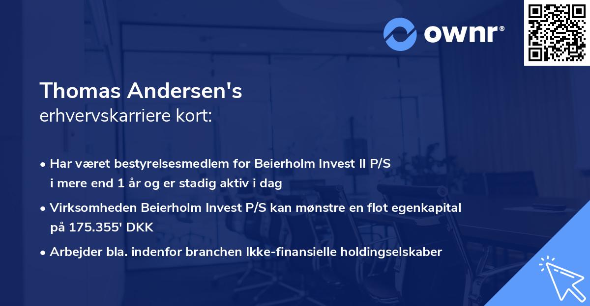 Thomas Andersen's erhvervskarriere kort