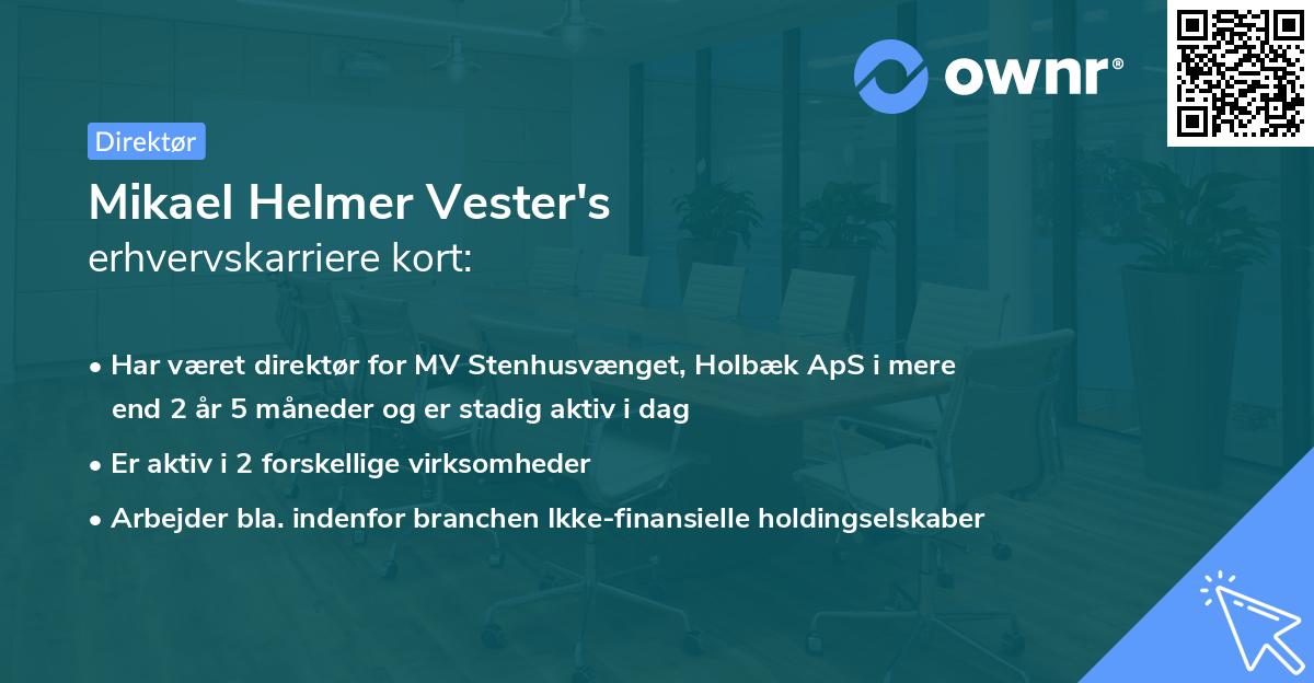 Mikael Helmer Vester's erhvervskarriere kort
