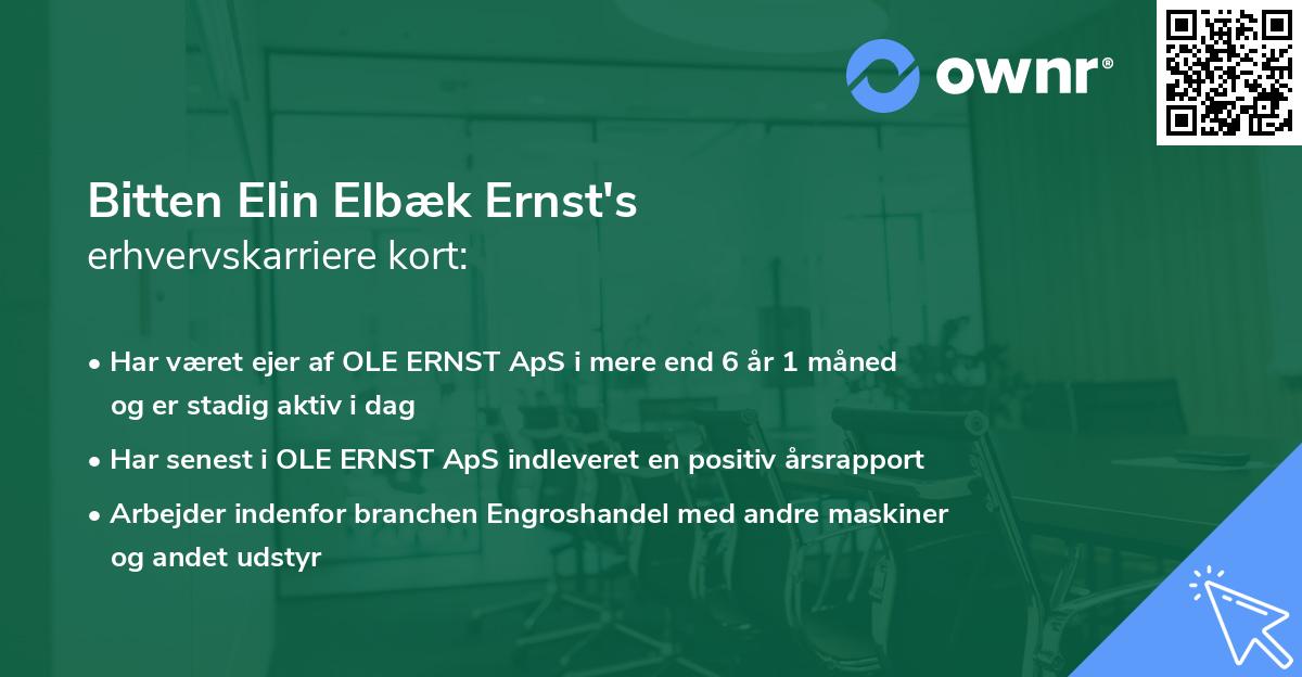 Bitten Elin Elbæk Ernst's erhvervskarriere kort