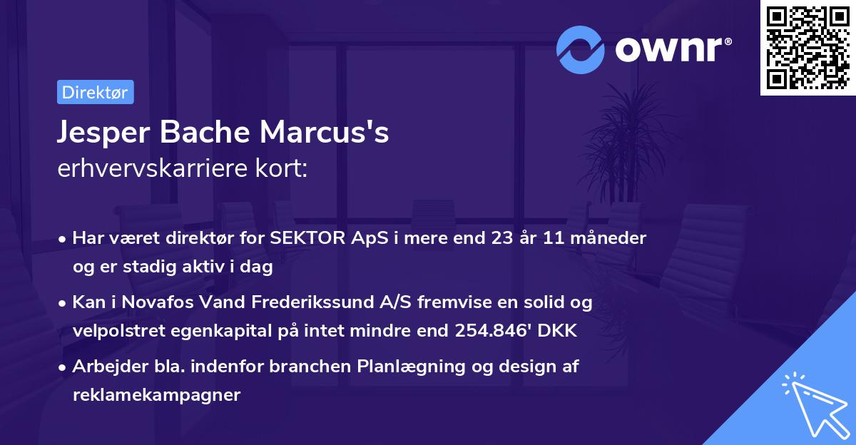 Jesper Bache Marcus's erhvervskarriere kort