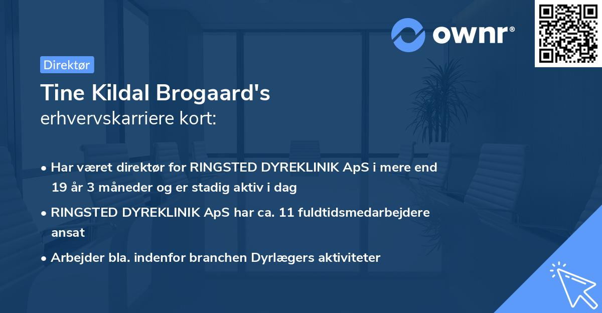 Tine Kildal Brogaard's erhvervskarriere kort