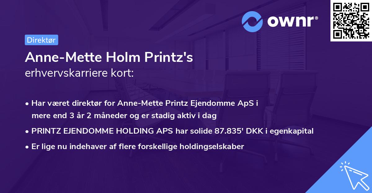 Anne-Mette Holm Printz's erhvervskarriere kort