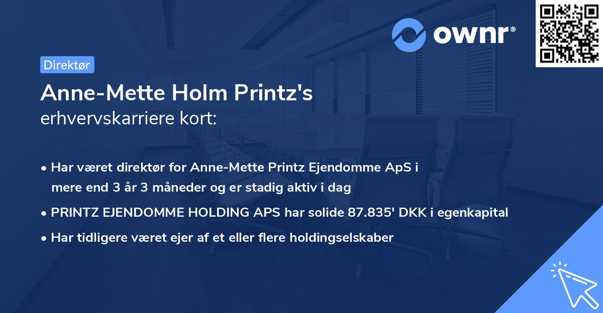 Anne-Mette Holm Printz's erhvervskarriere kort