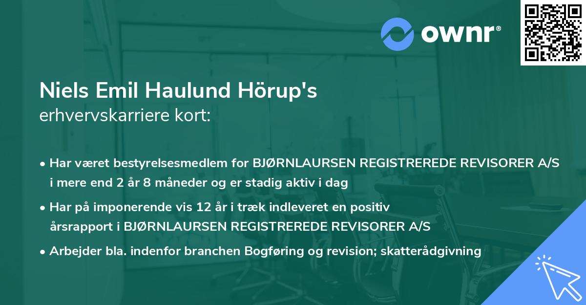 Niels Emil Haulund Hörup's erhvervskarriere kort