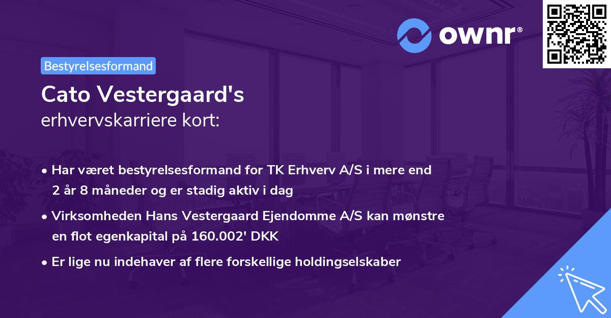 Cato Vestergaard's erhvervskarriere kort