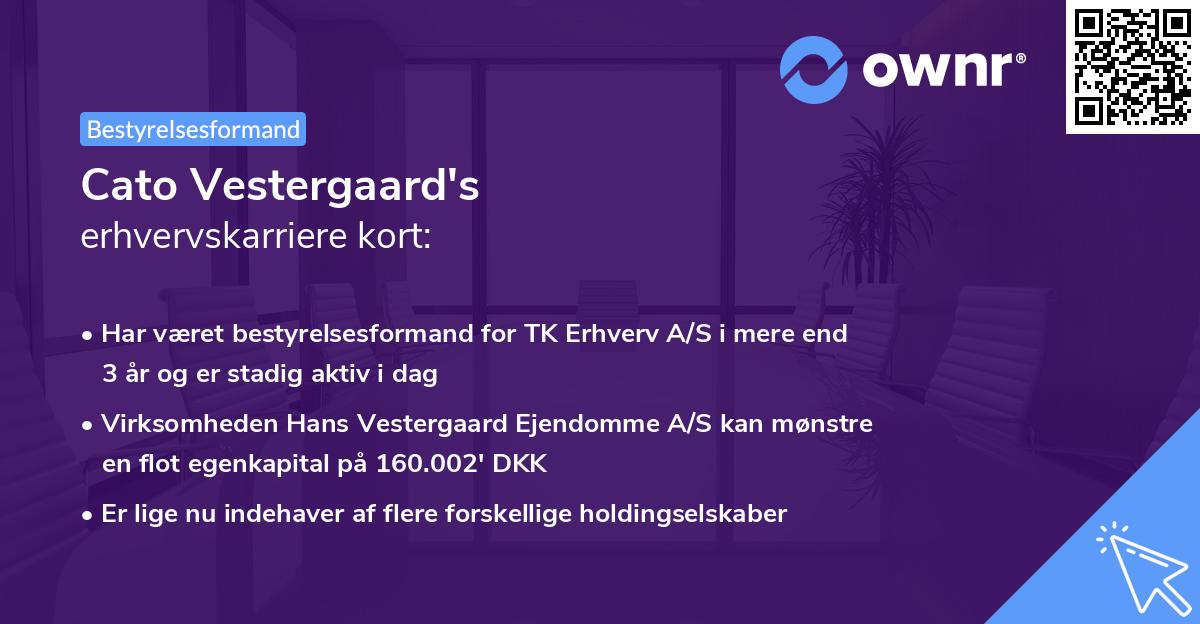 Cato Vestergaard's erhvervskarriere kort