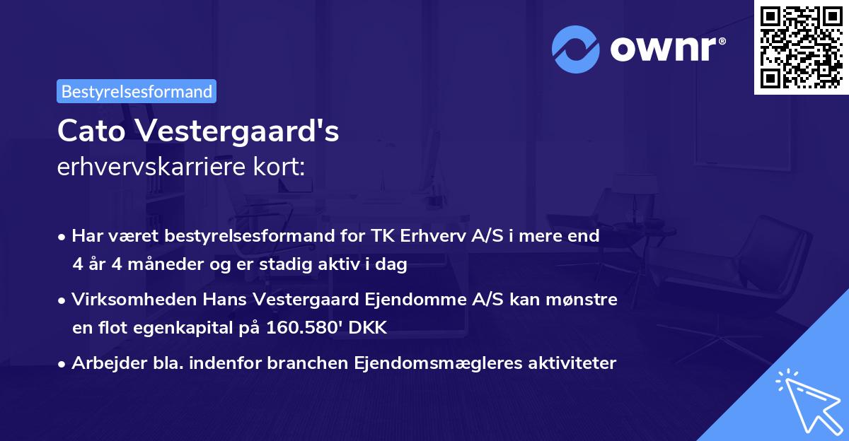 Cato Vestergaard's erhvervskarriere kort