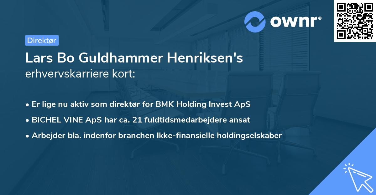 Lars Bo Guldhammer Henriksen's erhvervskarriere kort