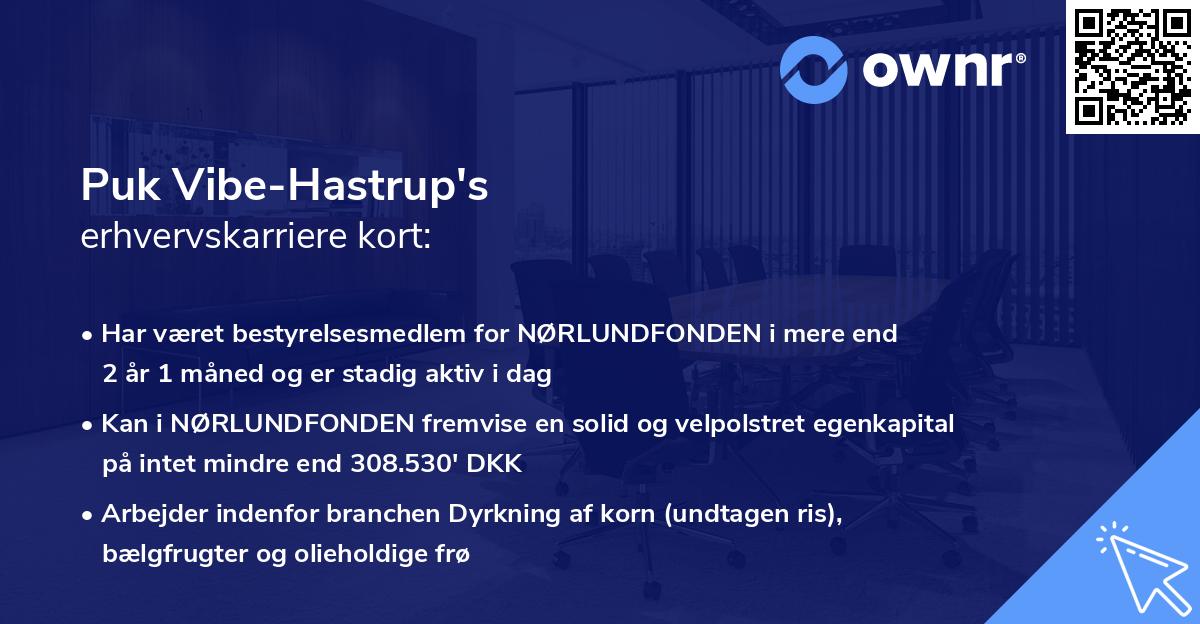 Puk Vibe-Hastrup's erhvervskarriere kort