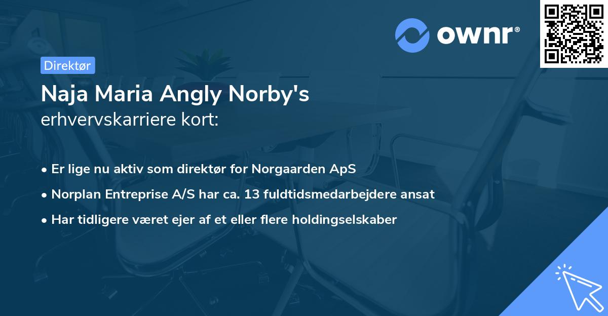 Naja Maria Angly Norby's erhvervskarriere kort