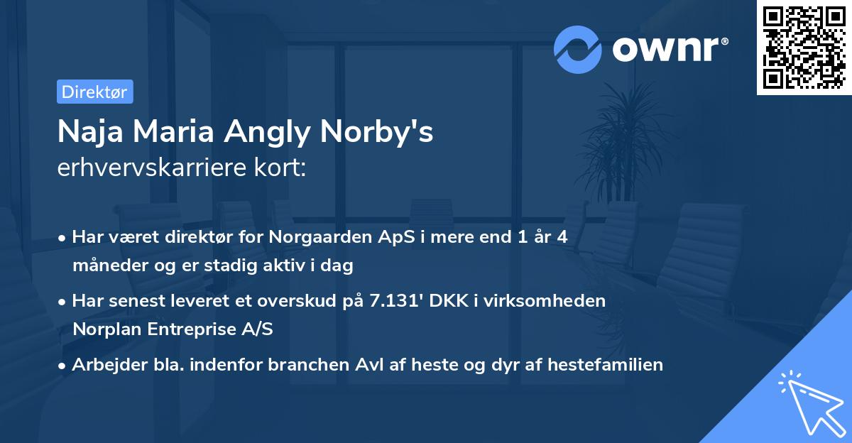Naja Maria Angly Norby's erhvervskarriere kort