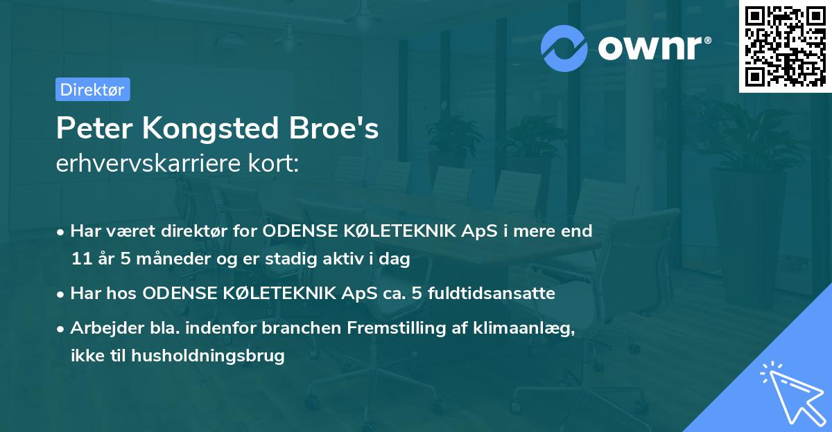 Peter Kongsted Broe's erhvervskarriere kort