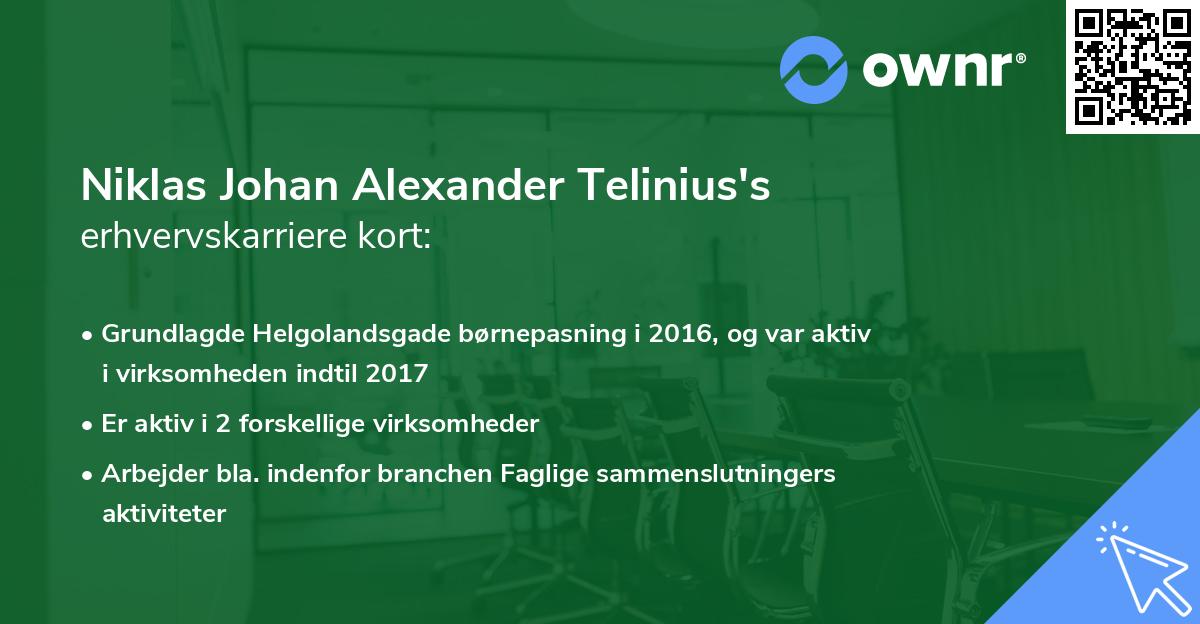 Niklas Johan Alexander Telinius's erhvervskarriere kort