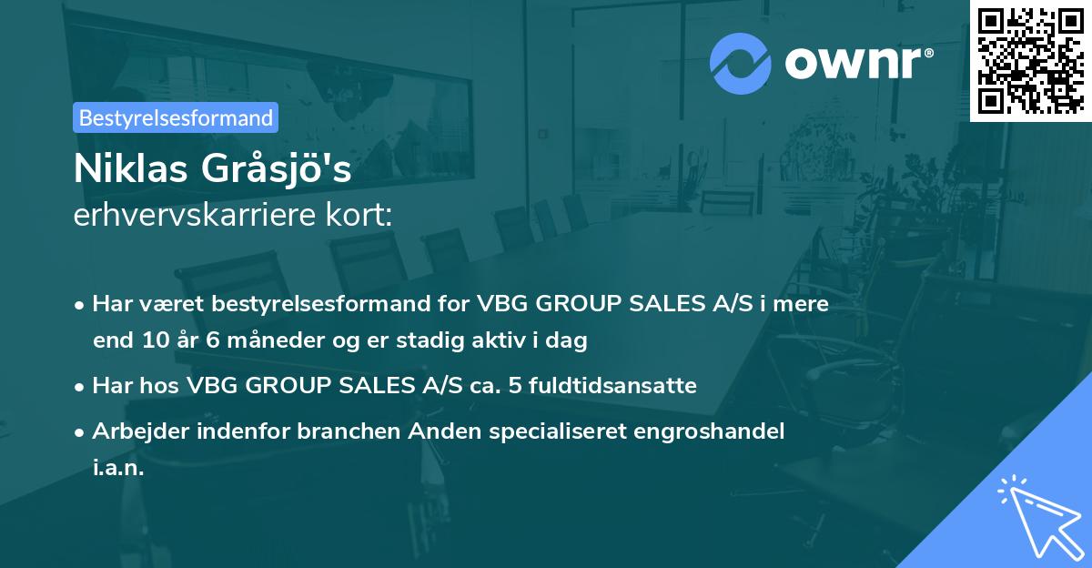 Niklas Gråsjö's erhvervskarriere kort