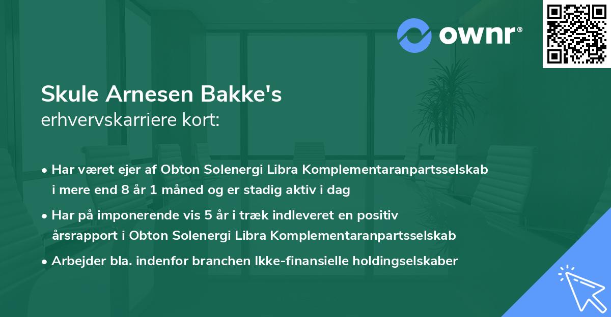 Skule Arnesen Bakke's erhvervskarriere kort