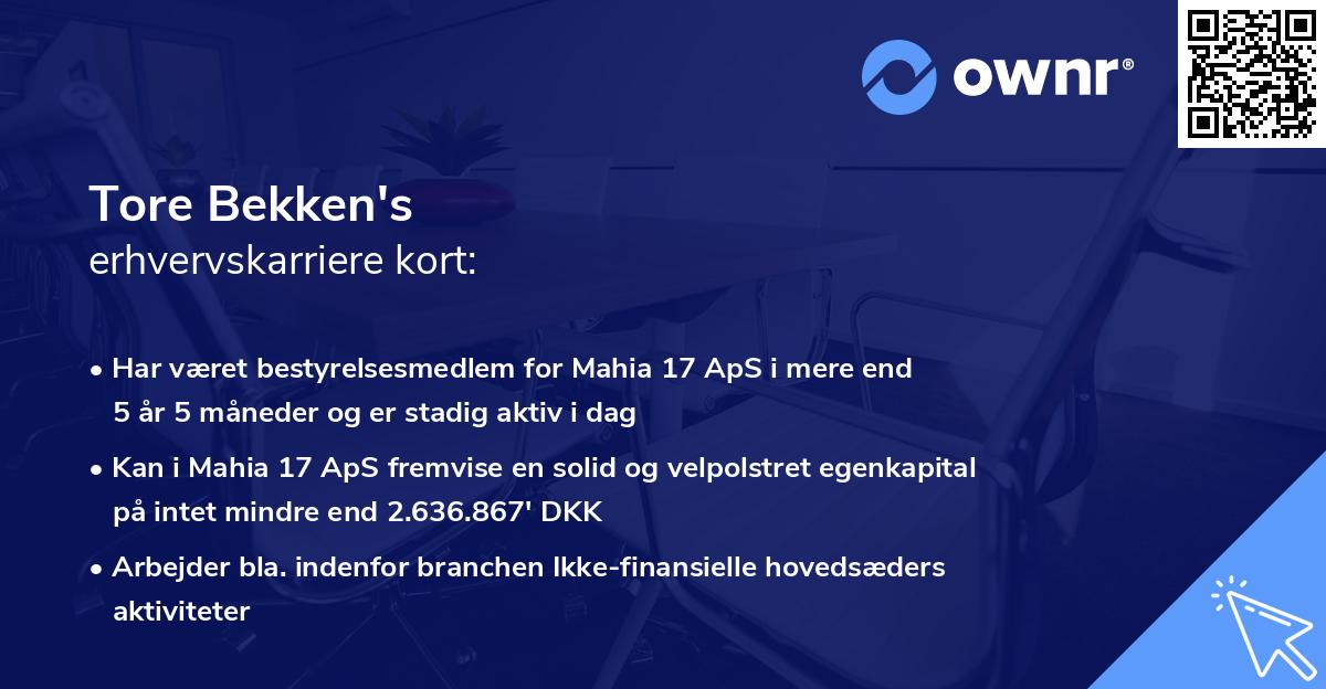 Tore Bekken's erhvervskarriere kort