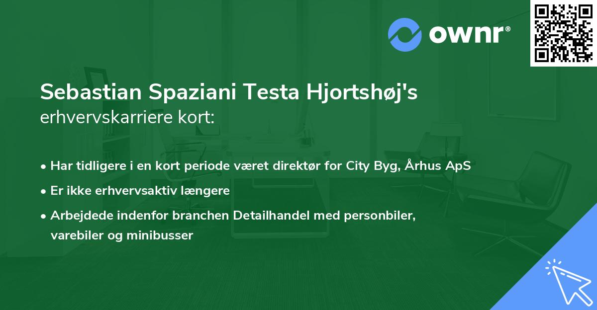 Sebastian Spaziani Testa Hjortshøj's erhvervskarriere kort
