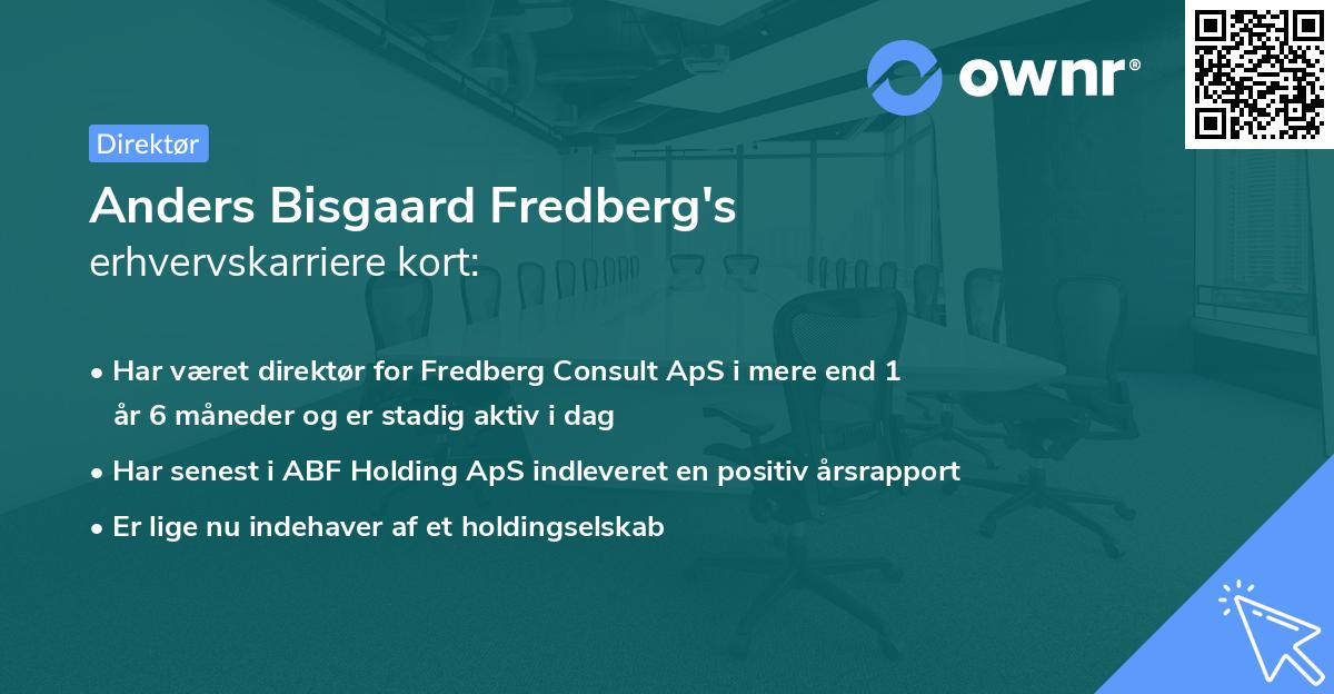 Anders Bisgaard Fredberg's erhvervskarriere kort