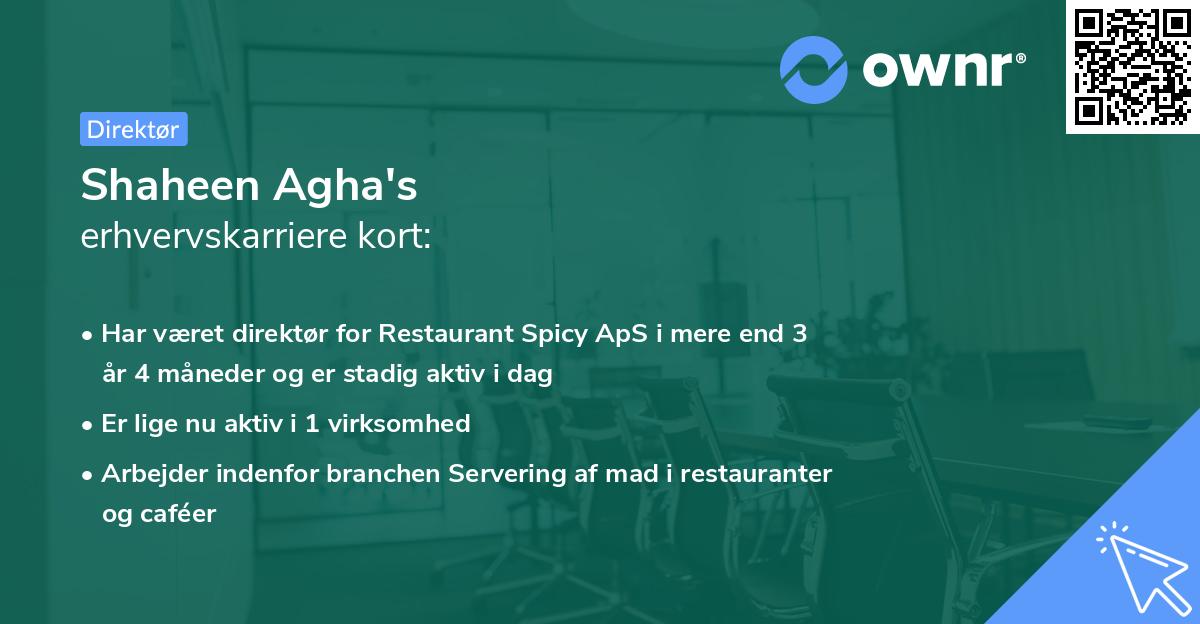 Shaheen Agha's erhvervskarriere kort