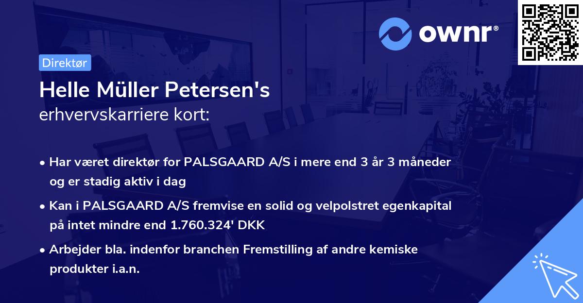 Helle Müller Petersen's erhvervskarriere kort